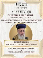 תמונה של WhatsApp‏ 2023-03-31 בשעה 07.02.23.jpg