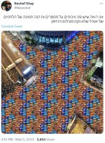 _אנגל7.jpg