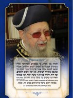 דוגמא הנהגות.JPG
