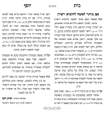 רישיון נהיגה לנשים.png