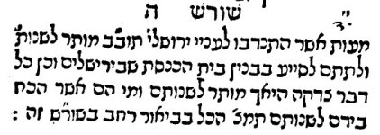 מהריק.jpg